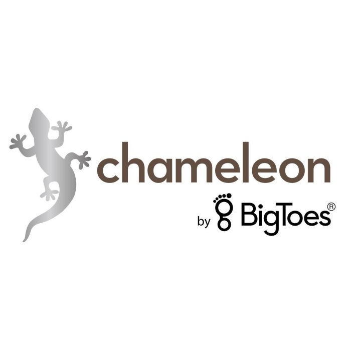 Chameleon